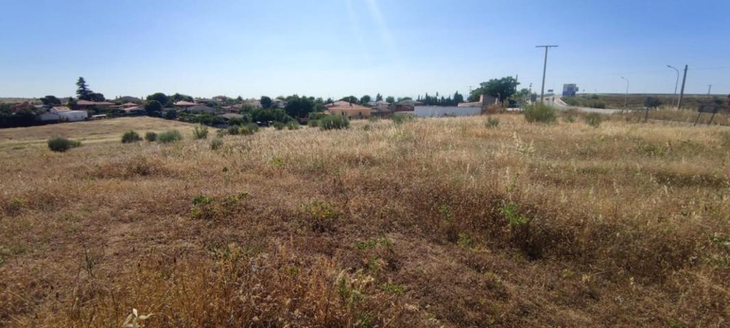 Finca rústica de 2,6 hectáreas junto a la A5 photo 0