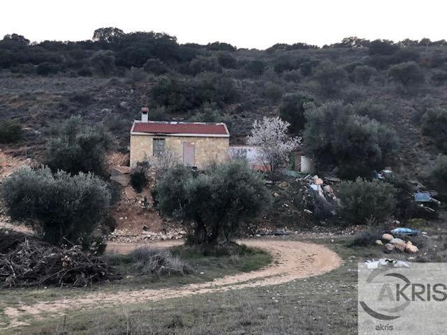 TERRENO RUSTICO EN CARABAÑA photo 0
