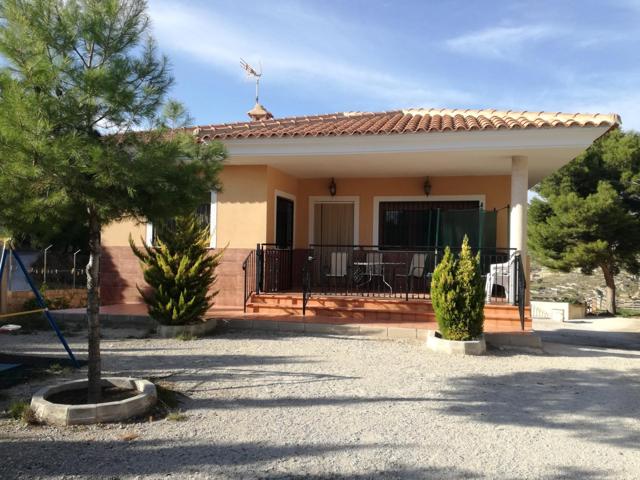 SENSACIONAL CHALET EN PETRER photo 0