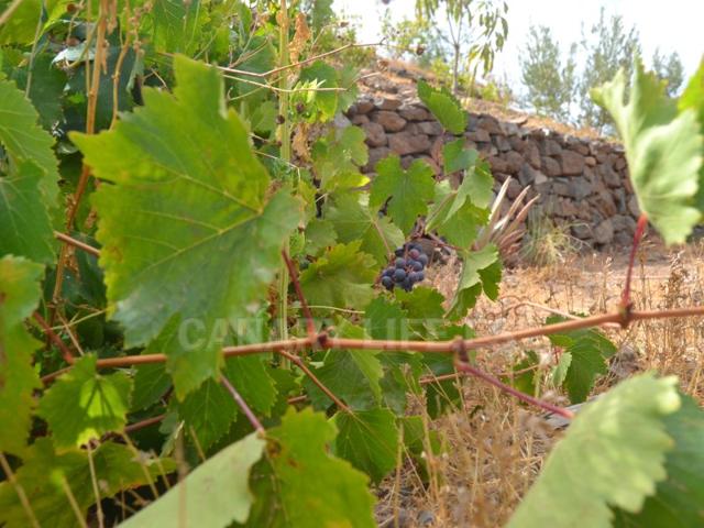 Terreno Urbanizable En venta en San Bartolomé De Tirajana photo 0