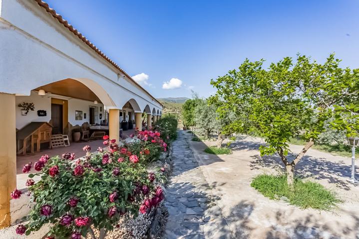 Casa de campo-Masía en Venta en Fiñana Almería photo 0