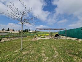 Finca Rústica en Reventón Chico – 2.240 m² photo 0