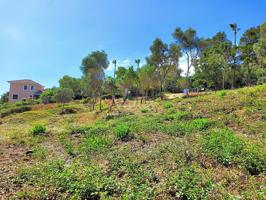 Venta de magnífica parcela en la zona F de Sotogrande. photo 0