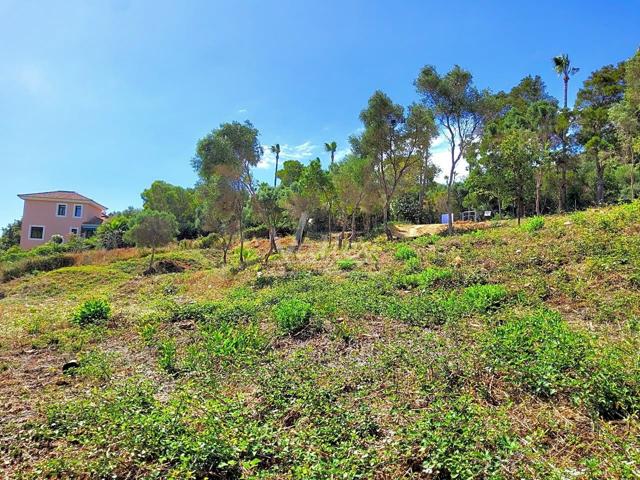 Venta de magnífica parcela en la zona F de Sotogrande. photo 0