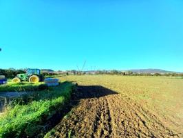 Finca Rústica en venta en San Enrique de Guadiaro de 6274 m2 photo 0