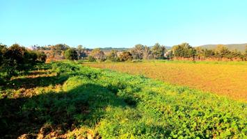 Finca Rústica en venta en San Enrique de Guadiaro de 6274 m2 photo 0