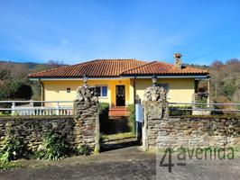 MAGNIFICO CHALET EN UNA SOLA PLANTA photo 0