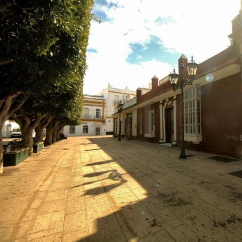 CASA SEÑORIAL EN LA ALAMEDA photo 0