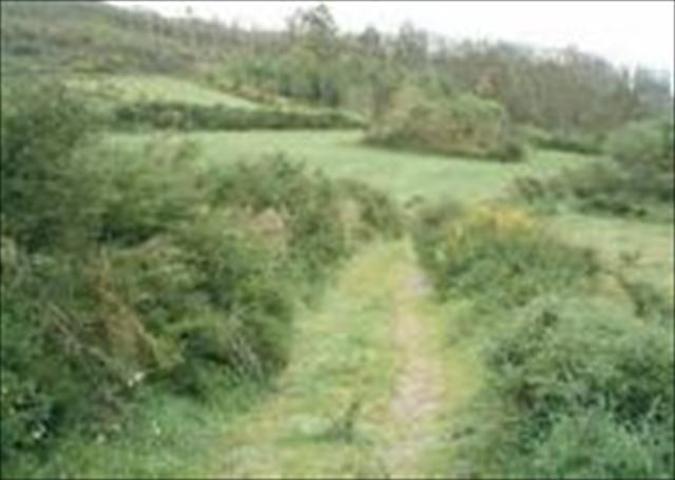 Terreno en venta en Negreira de 1034 m2 photo 0