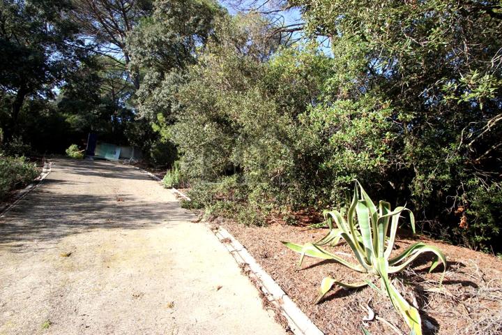 UNA HECTAREA DE TERRENO EN ELS CAUS-TERRASSA! photo 0