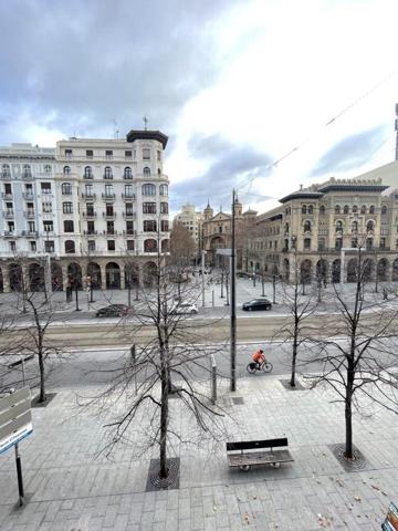 PASEO DE LA INDEPENDENCIA, CENTRO photo 0