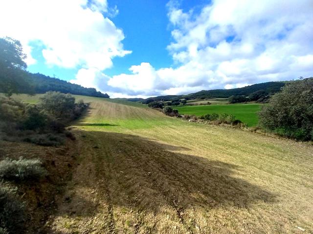 Rústico de 21.000 m² en Castejón de Valdejasa photo 0