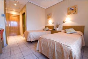 ALQUILER DE RESIDENCIA Y TRASPASO DE NEGOCIO- FUENCARRAL-EL PARDO -MADRID photo 0