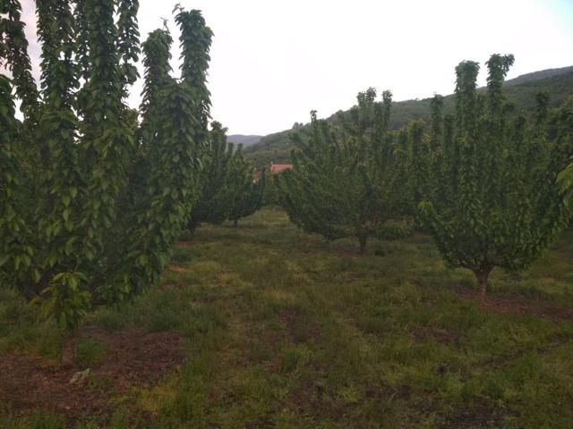 Finca Rústica en venta en Cabezuela del Valle de 28000 m2 photo 0