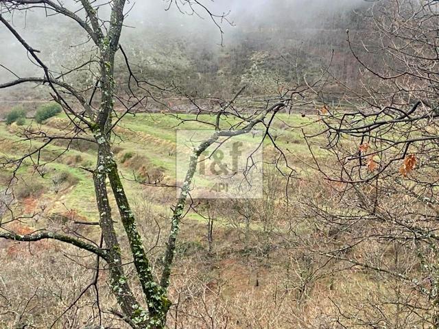 FINCA Y CASA photo 0