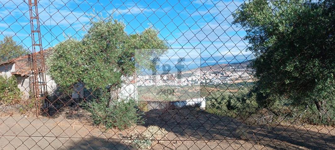 🌿 Oportunidad única – Finca en venta cerca de Plasencia (Carretera de Jaraíz) 🌿 photo 0