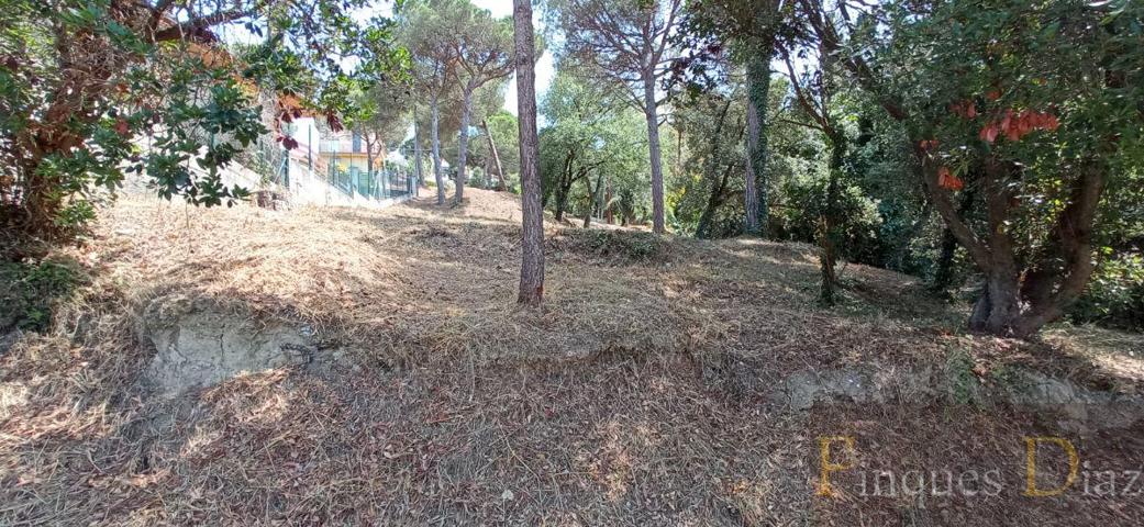 Terreno Urbanizable En venta en Mas Mora, Tordera photo 0