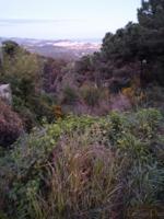 Terreno Urbanizable En venta en Ciutat Jardi Sant Genis De Palafolls, Palafolls photo 0