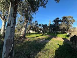 AMPLIA PARCELA EN VENTA EN ZONA BRILLANTE-SANSUEÑA, CORDOBA photo 0