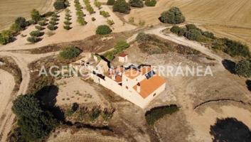 FINCA RÚSTICA EN ALMANSA, DE 100 HECTÁREAS CON CASA UNIFAMILIAR EN PERFECTO ESTADO. photo 0