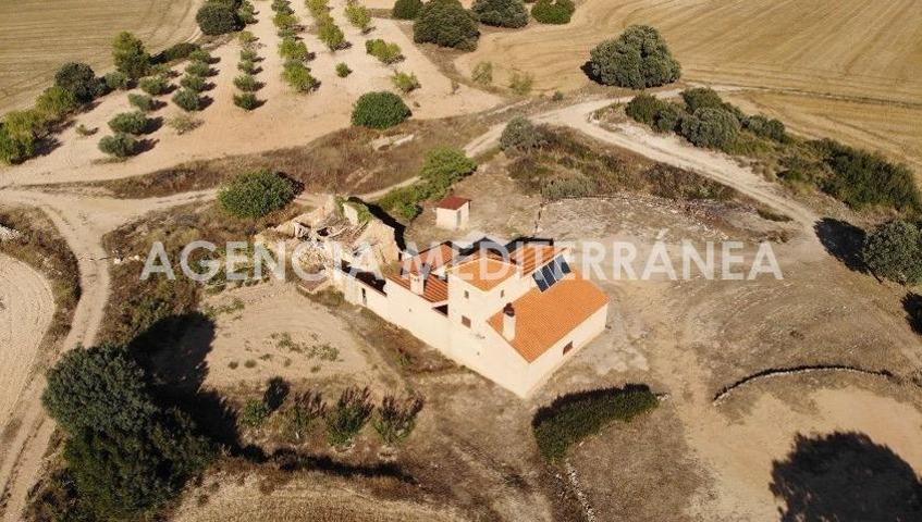 FINCA RÚSTICA EN ALMANSA, DE 100 HECTÁREAS CON CASA UNIFAMILIAR EN PERFECTO ESTADO. photo 0