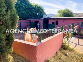 Terreno con Cuadras de caballos en Albalat dels Tarongers photo 0