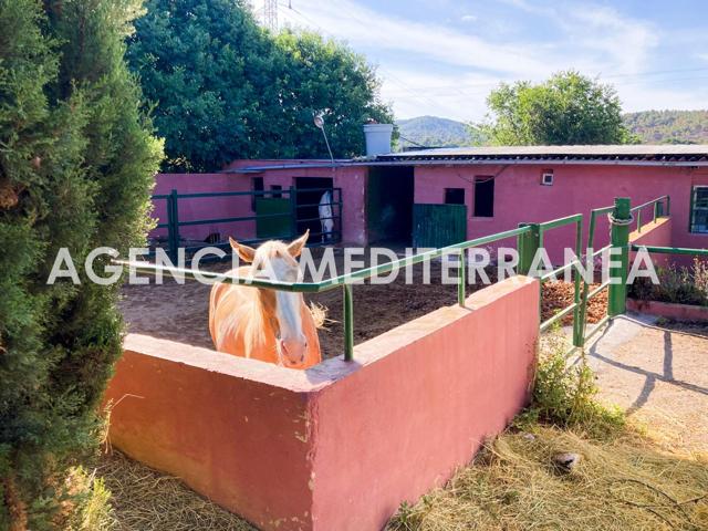 Terreno con Cuadras de caballos en Albalat dels Tarongers photo 0