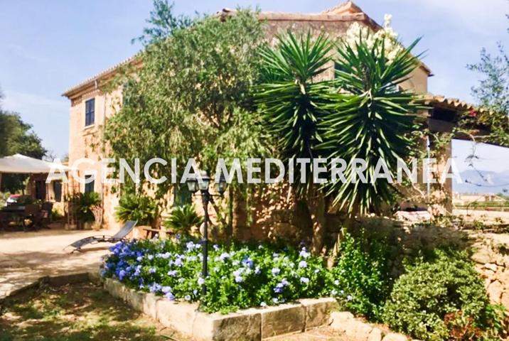 Finca mallorquina, viñedos propios y licencia vacacional en Sencelles photo 0