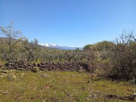 Terrenos Edificables En venta en Valverde de la Vera photo 0