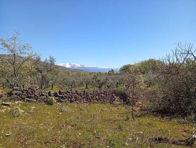 Terrenos Edificables En venta en Valverde de la Vera photo 0