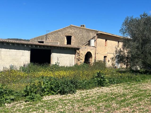 OPORTUNIDAD GRAN FINCA RUSTICA CON CASA TIPICA MALLORQUINA, CON LUZ Y AGUA photo 0