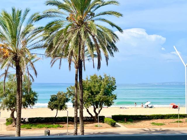 Exclusivo piso en primera línea de mar en Les Maravelles – totalmente reformado photo 0