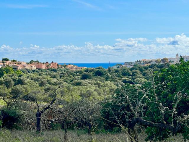Proyecto de vivienda unifamiliar de diseño con vistas al mar en Cala Anguila. photo 0