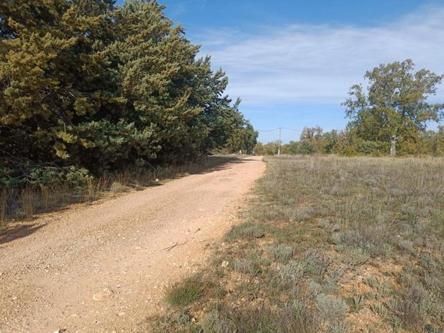 Tu refugio natural en Pastrana: parcela plana con luz photo 0