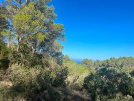 Bonito terreno en Cala d'Hort cerca del mirador de Es Vedrá. photo 0