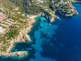 Impresionante villa con vistas y acceso directo al mar en Porroig photo 0