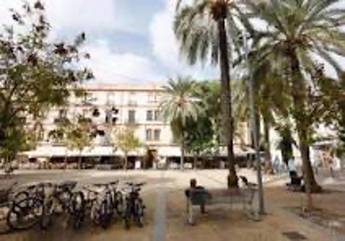 Bar en el corazón de Ibiza en alquiler con traspaso photo 0