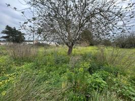 Fantástica parcela en dirección a San Lorenzo con proyecto de construcción photo 0