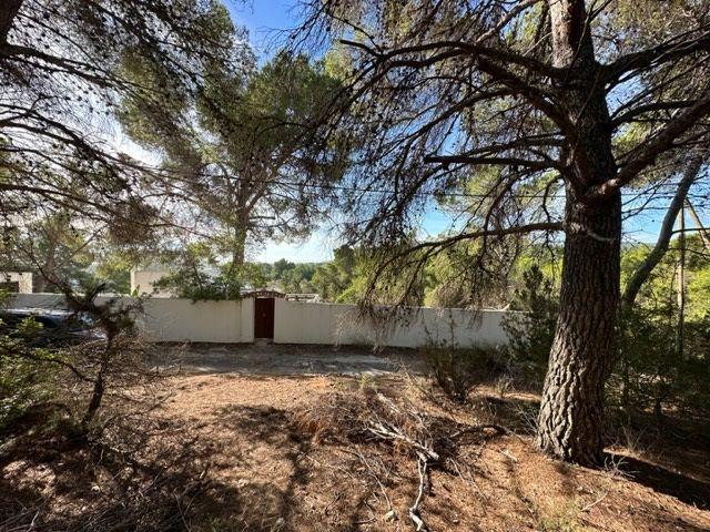 Parcela rustica en urbanización en Carretera de San José. photo 0