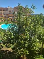 Acogedor apartamento en Santa Eulalia para el invierno. photo 0