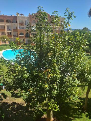 Acogedor apartamento en Santa Eulalia para el invierno. photo 0