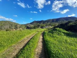 Terreno de 54.000 m² en zona ANEI photo 0