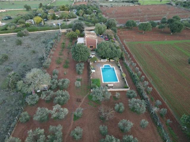 Finca muy cuidada en un entorno privilegiado y muy cercana al Pueblo de Llucmajor photo 0