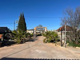 Rustica Llucmajor muy cerca del pueblo con piscina y apartamento independiente photo 0