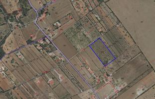 Terreno edificable en Algaida photo 0