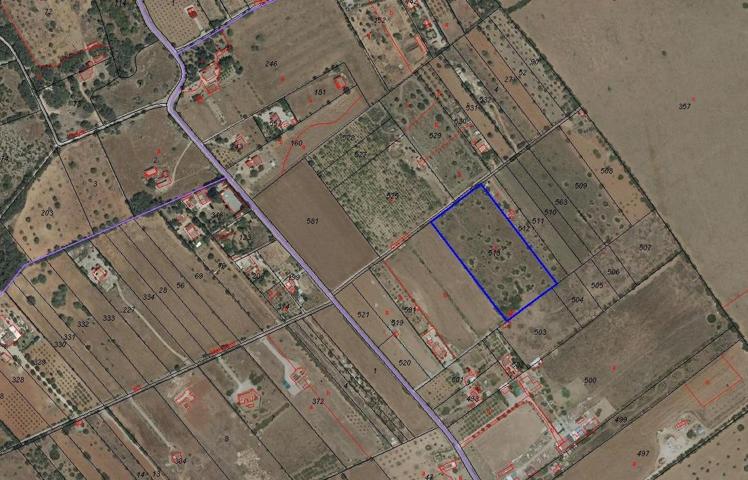 Terreno edificable en Algaida photo 0