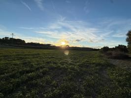 Terreno Agrario Sant Juan photo 0
