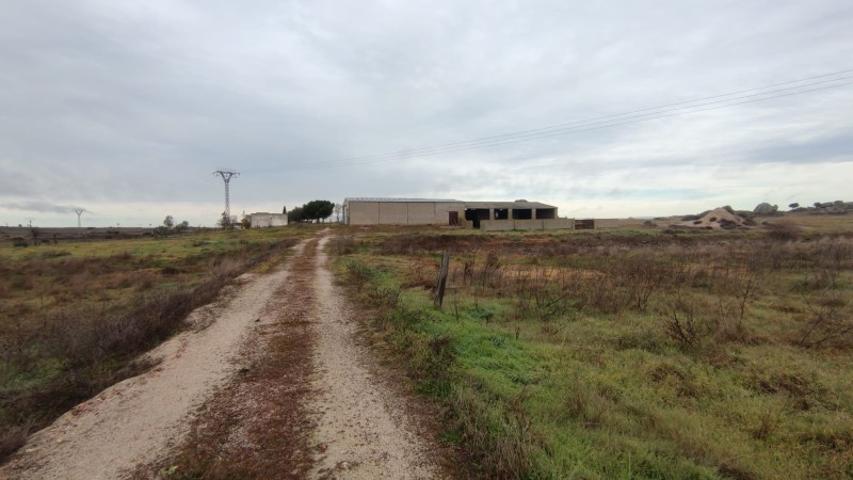 Solar Comercial en Venta en Urbanización El Majón Cáceres, Cáceres photo 0