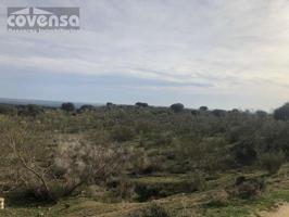 Venta - Urb. Santa Ana, Navas del Rey, Madrid photo 0