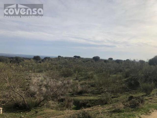 Venta - Urb. Santa Ana, Navas del Rey, Madrid photo 0